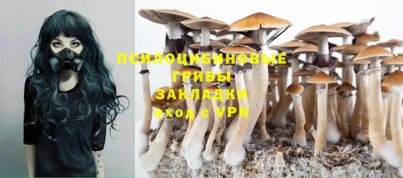 Галлюциногенные грибы MAGIC MUSHROOMS  Нолинск 